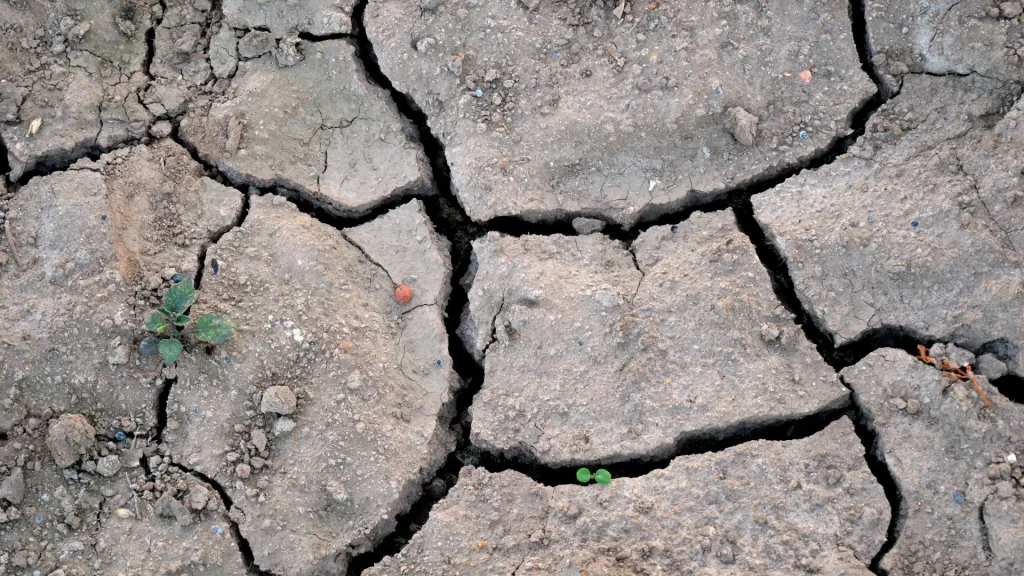 Climate change study