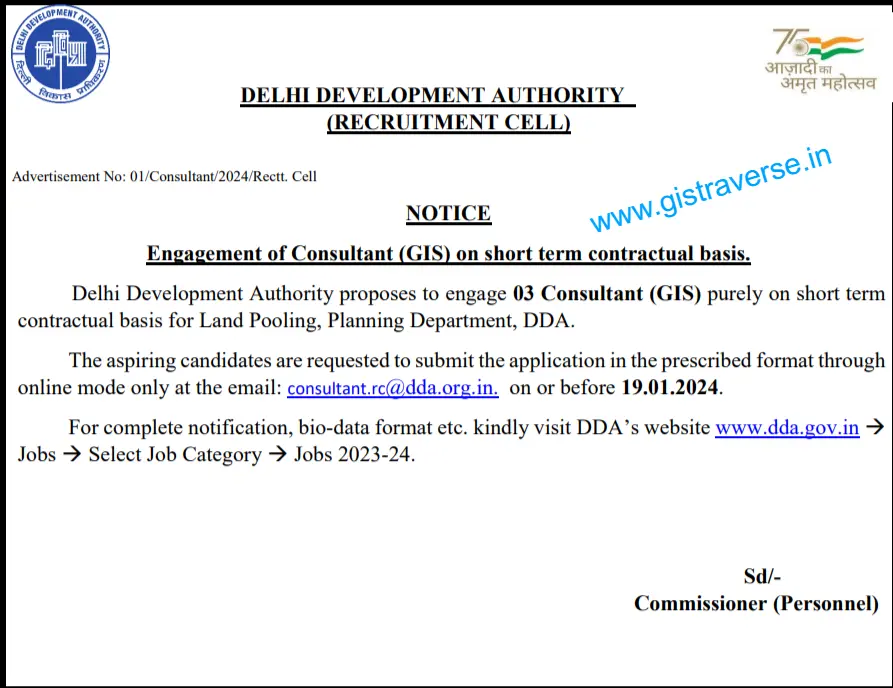 GIS Consultant
